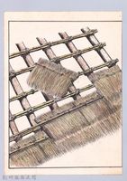 藏品(泰雅族的建築史：房屋篇-29茅草屋搭建步驟8-3：茅草屋頂近距鋪陳法)的圖片