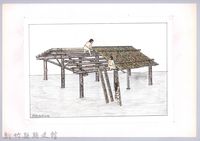 藏品(泰雅族的建築史：房屋篇-36竹屋的搭建3：鋪屋頂竹面)的圖片