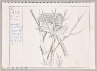 藏品(泰雅文化探索-3瞭望臺)的圖片