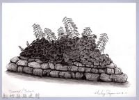 藏品(黑帶巴彥畫冊-64作物耕種：扁豆)的圖片