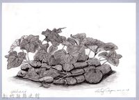 藏品(黑帶巴彥畫冊-65作物耕種：南瓜)的圖片