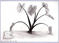 藏品(黑帶巴彥畫冊-67作物耕種：芋頭)的圖片