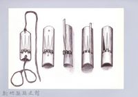 藏品(狩獵用具漁用-63製作口簧琴6：固定簧片)的圖片