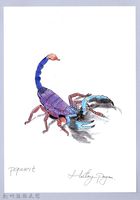 藏品(泰雅文物畫冊1-158蠍子)的圖片