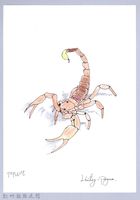 藏品(泰雅文物畫冊1-159亞利桑那沙漠金蠍)的圖片