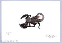 藏品(泰雅文物畫冊1-160非洲帝王蠍)的圖片