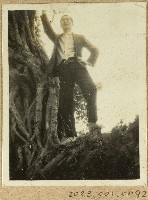 藏品(黃仁田樹上留影)的圖片