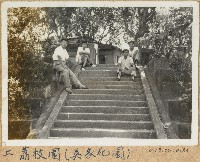 藏品(劉興熙台中暑期講習吳家花園荔枝園照片（中華民國46年）)的圖片