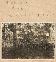 藏品(海南戰役？林公司進佔廣莫橡膠樹園照片)的圖片