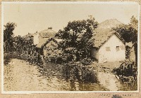 藏品(海南島風景照)的圖片