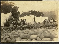 藏品(關西公學校野外露營活動照片)的圖片