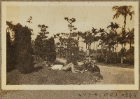 藏品(宜蘭農林學校校景照片)的圖片