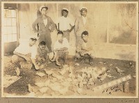 藏品(劉興熙宜蘭農林家禽養育實習照片（昭和11年6月7日）)的圖片