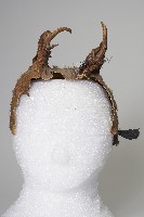 藏品(布農族頭目鹿皮帽)的圖片