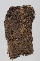 藏品(編織草製雨衣)的圖片