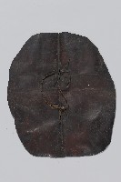 藏品(山豬皮製斗笠)的圖片