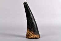 藏品(牛角狀火藥筒)的圖片
