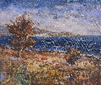 藏品(暖陽)的圖片