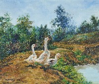 藏品(池畔)的圖片