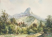 藏品(墾丁國家公園-尖山)的圖片