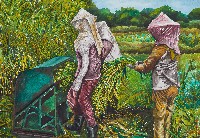 藏品(秋收)的圖片