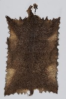 藏品(鹿皮衣料)的圖片