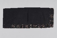 藏品(十字繡黑底卑南族裙)的圖片