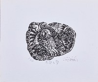 藏品(原始之夢)的圖片