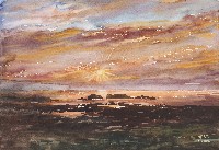 藏品(滿天彩霞)的圖片