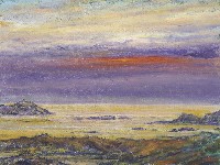 藏品(悠活暮色)的圖片