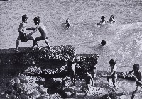 藏品(夏日時光)的圖片