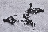 藏品(與牛共舞)的圖片