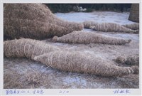 藏品(等待再生No.6生與息ⅠⅠ)的圖片