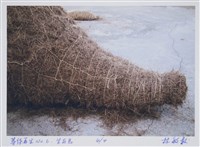 藏品(等待再生No6，生與息Ⅳ)的圖片