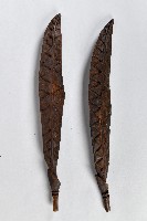 藏品(圓雕木製羽毛)的圖片