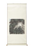 藏品(森林浴)的圖片