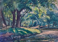 藏品(屏市中山公園老樹)的圖片