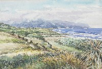 藏品(風吹沙風光)的圖片