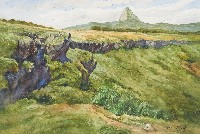 藏品(龍磐崩崖)的圖片