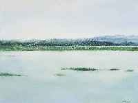 藏品(生機)的圖片