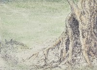 藏品(茄苳神木)的圖片