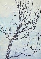 藏品(歸)的圖片