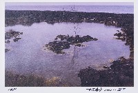 藏品(環．境)的圖片