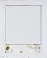 藏品(與白-2)的圖片