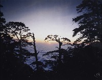 藏品(北大武山落日雲海)的圖片