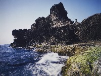 藏品(貓岩)的圖片