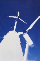 藏品(墾丁系列-風)的圖片