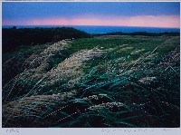 藏品(迎曦)的圖片