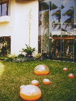 藏品(晨露I)的圖片