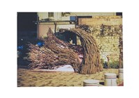 藏品(半島的風)的圖片